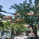 닥터준의원 이미지