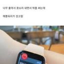엔터핏