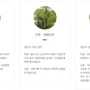 도시몰운대임대아파트(다대5지구) | 부산 사하(沙下)구 이름에 대한 역사와 유래, 문화유산