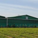 박대성농장 이미지