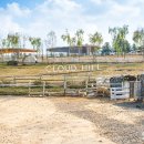 기성목장 이미지