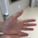 엘비랩 | 남녀의 건조한 손에 추천! 코엘프 퍼퓸 핸드크림 미스틱 그로브 솔직 사용 후기