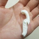 정남우체국 이미지