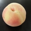 싱싱달달