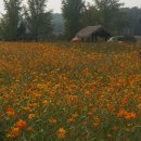 광탄면 삼거리 이미지