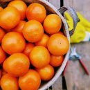 청송농원 이미지