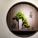 금룡중화요리 이미지