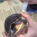 뉴월드동물병원 이미지