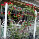 뉴솔로몬어린이집 이미지