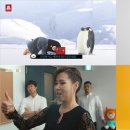 아우라광고기획