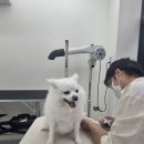 반하다몽몽 이미지