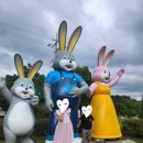 근화 어린이집 | [경남 창녕] 산토끼노래동산 방문 후기 - 레일썰매장발권부터 하자