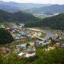 와이에스부동산중개 이미지