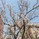 라파지압원 이미지