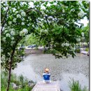 일랑일랑 이미지