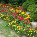 어민동산 이미지