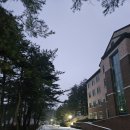 인생자원철거 | 자원봉사/강원2024 강원청소년동계올림픽자봉후기(9)