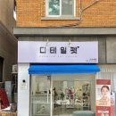 유이애견샵 | 대전 비숑 미용 도안동 &#39;디테일펫&#39;