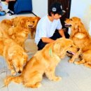 플러피 FLUPPY 이미지