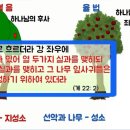 생명의 그물 2 이미지