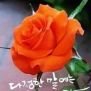 건강한하루 이미지