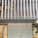 (주)올품 | ALO Sunset Sneaker 알로 선셋 스니커즈 도산 구매 후기3 사이즈팁 - 8/10 기준 블랙 올품절