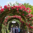 장미의거리 입구 이미지