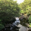 솜반내(솜반천) 이미지