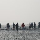 갯벌놀이펜션 이미지