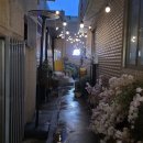 하루방 | 올레시장 카페 서귀포 디저트 맛집 제주빠박이 하루방 두쫀쿠 후기