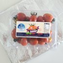 꿈꾸는 농장 이미지