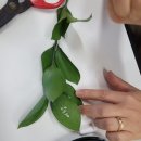 일봉유치원(병설) 이미지