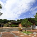 봉평메밀진미식당 이미지