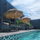 블랙트리하우스 이미지