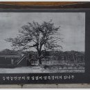 만석보혁파선정비 이미지