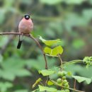 우물가의 미소 이미지