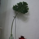 무진세탁소 이미지