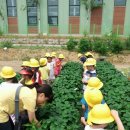 신애유치원 이미지