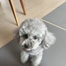 이삭장터 | 25.07 일상ㅣ백수, 본가에서 놀기, 쌍교 숯불갈비, 제주도 2박3일, 조카 생일