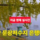 안성면109 이미지