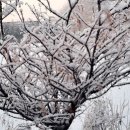 베조아니 | 헤이리 마을에 위치한 파주 펜션 베조아니 방문후기