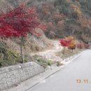 푸른산내들 이미지