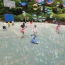 로뎀나무어린이집 이미지