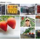 정호 농장 이미지