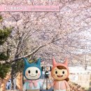 인항로24번길 이미지