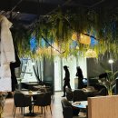 알렉스 | 강남 맛집 브런치 점심 저녁 모두 가능한 양식 알렉스루카 내돈내산 후기