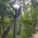 형제봉길 이미지