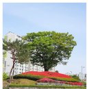 솔내공원 이미지