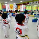 국가대표용인대박사태권도장 이미지