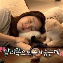 얄리
